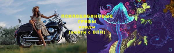 дживик Алексин