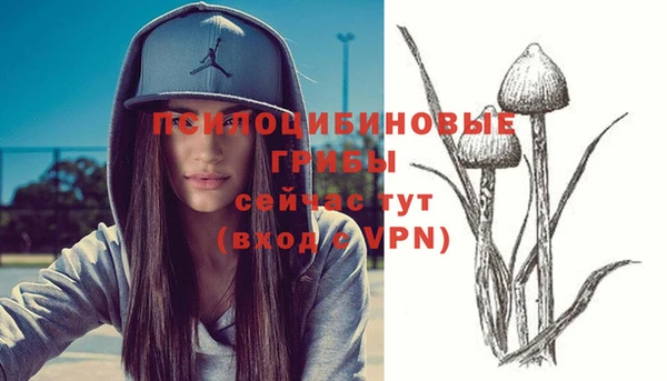 марки nbome Алексеевка