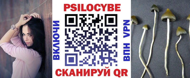 Псилоцибиновые грибы Psilocybine cubensis Томари